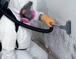 Best Industrial Mold Remediation  in Belle Chasse, LA